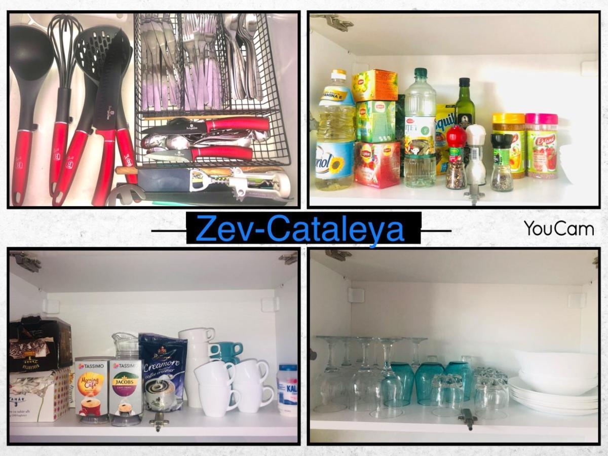 Zev- Cataleya Mamaia Nord Apartment นาโวดาริ ภายนอก รูปภาพ